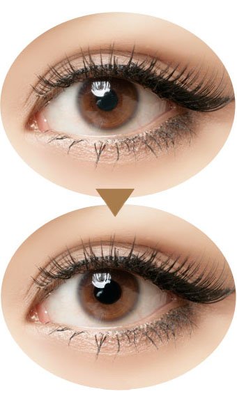  hnědé oči objektivy Perspektivní kontakt